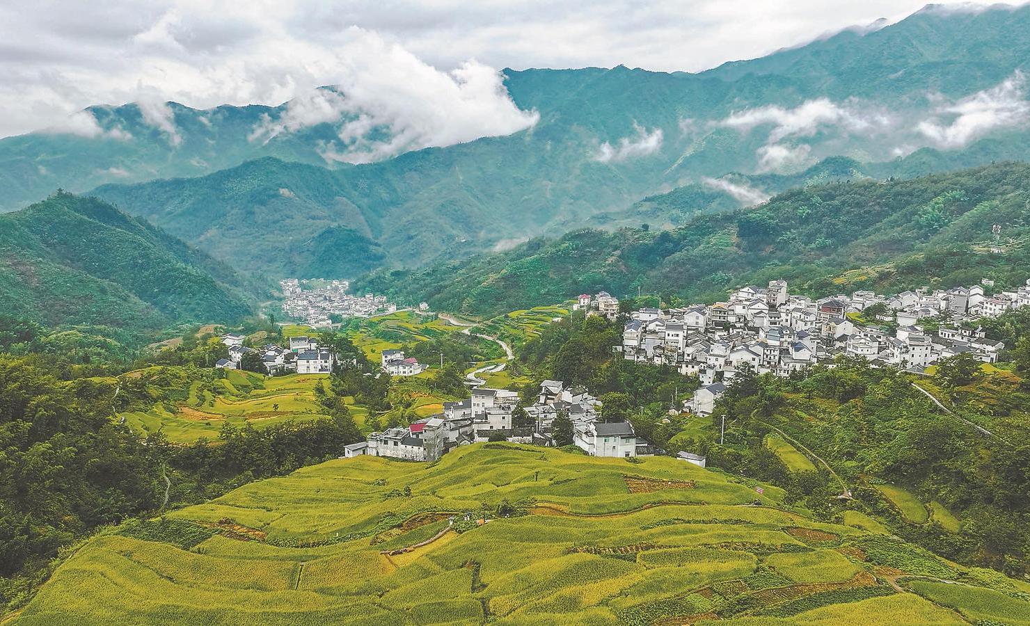 安徽,绿色发展与文化传承的典范