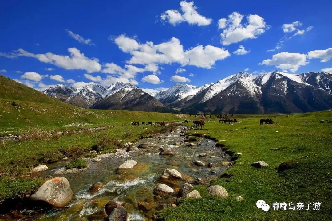 新疆的魅力与风情